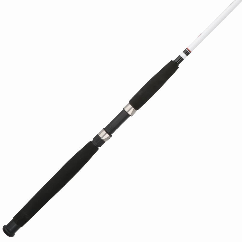 Big Game Spinning Rod