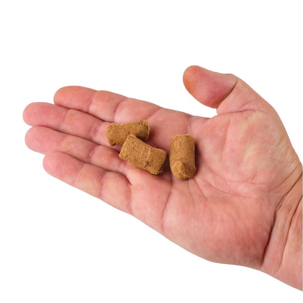 PowerBait Catfish Bait Chunks - Image 7