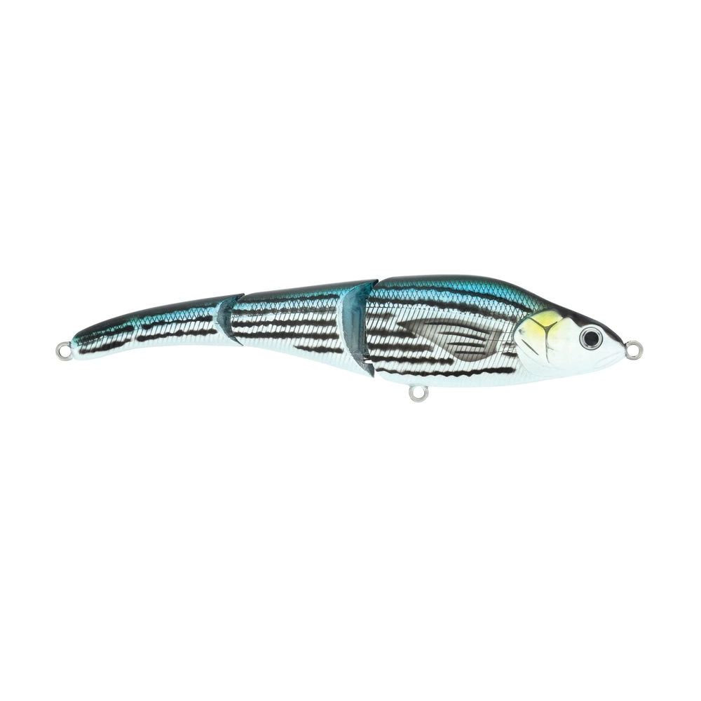 Magic Swimmer Saltwater - Image 134