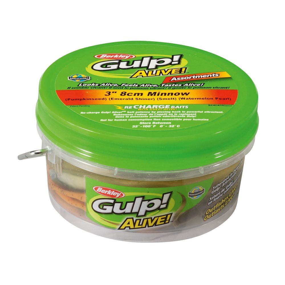 Gulp! Alive! Minnow Assortment