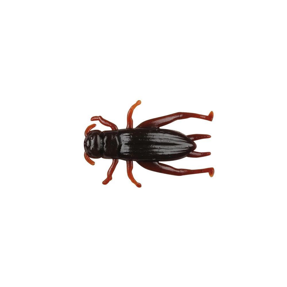 Gulp! Alive! Cricket