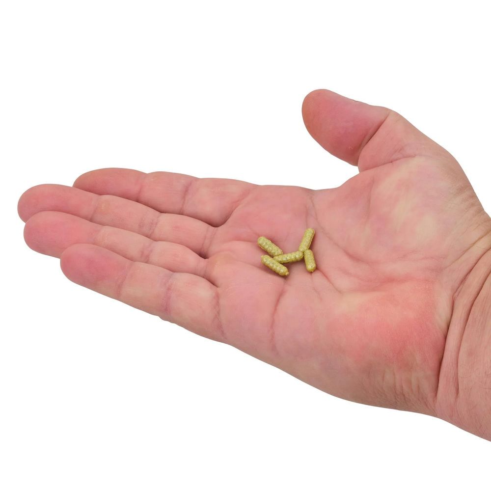 PowerBait Power Wigglers - Image 7