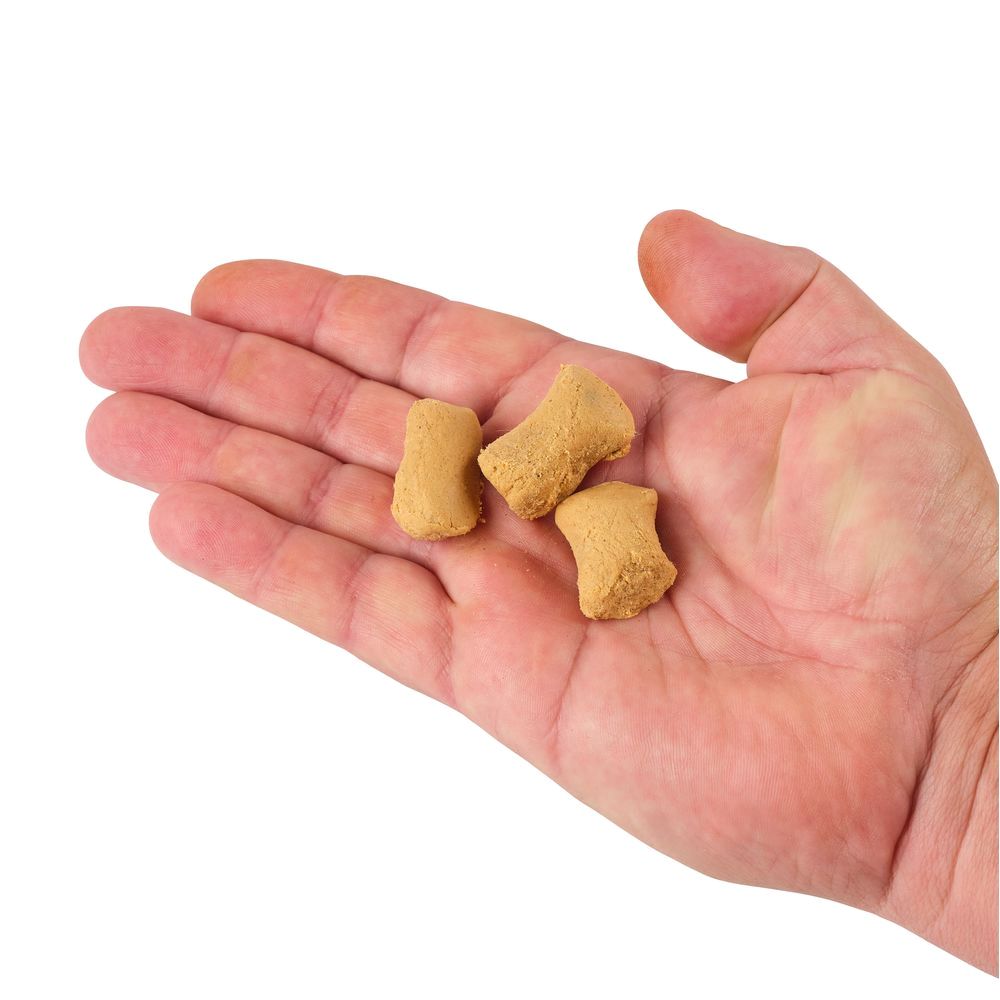 PowerBait Catfish Bait Chunks - Image 13