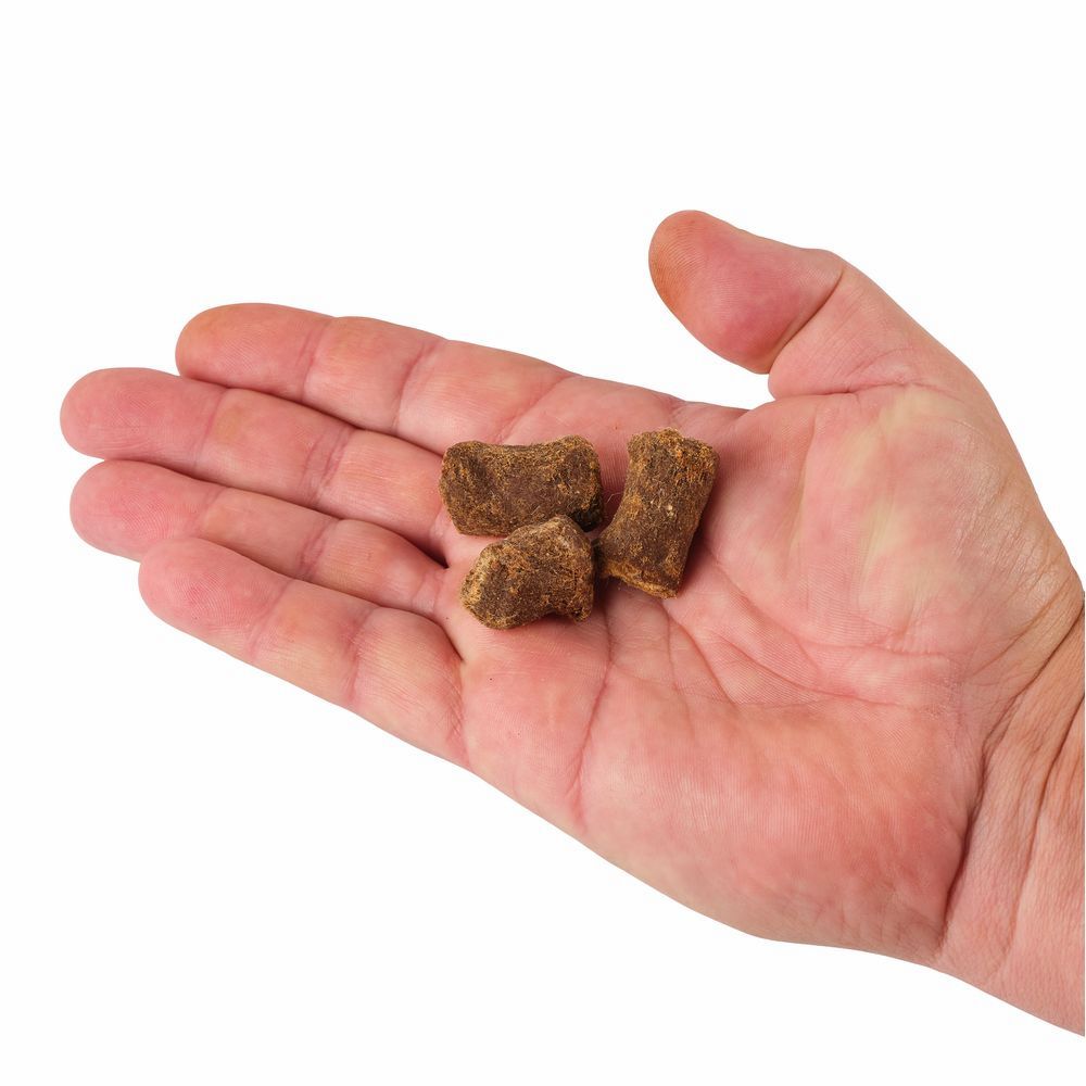 PowerBait Catfish Bait Chunks - Image 9