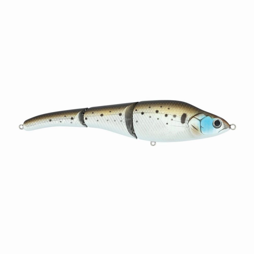 Magic Swimmer Saltwater - Image 74