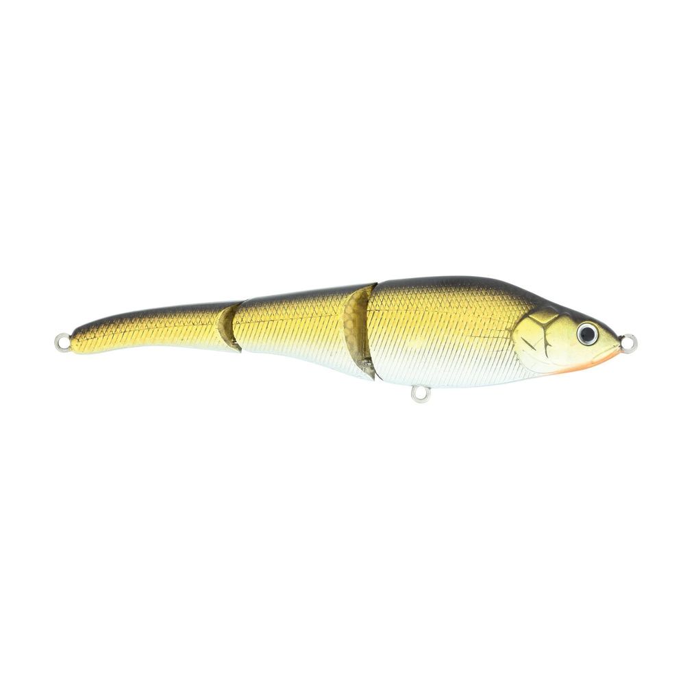 Magic Swimmer Saltwater - Image 126