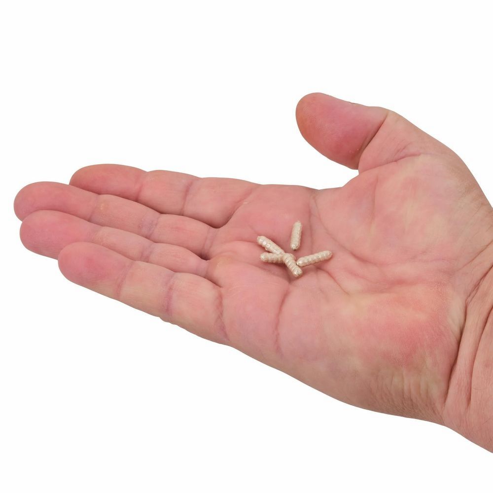 PowerBait Power Wigglers - Image 13